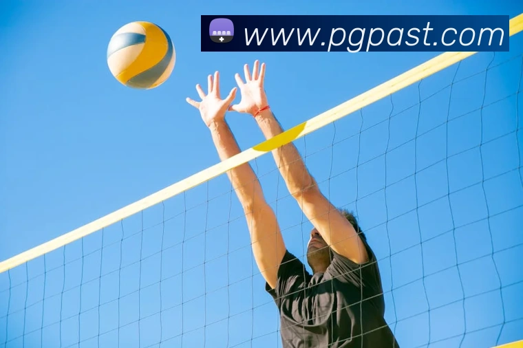 多媒体互动体验